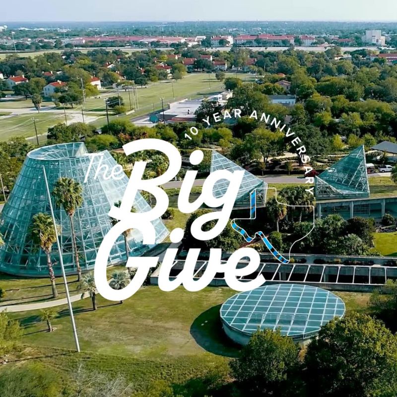 Image for the Tweet beginning: #BigGiveSA2023 is happening now! Make