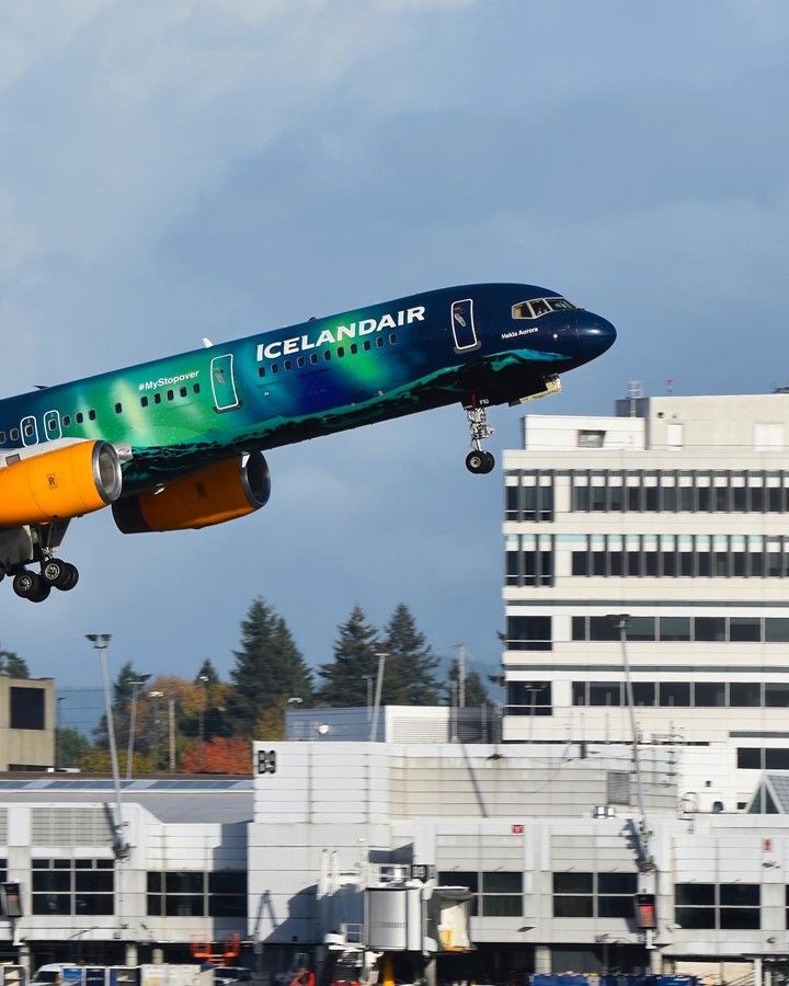 Image for the Tweet beginning: Beauty takes flight: Where pretty