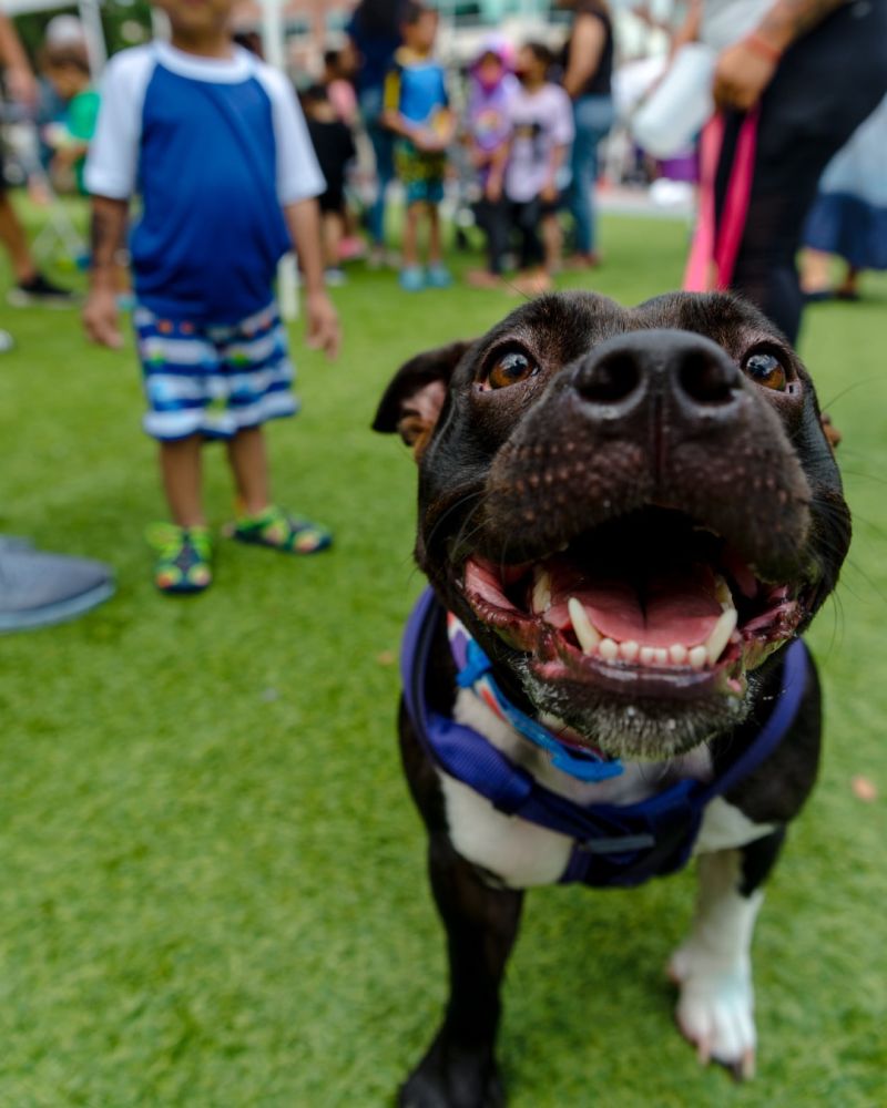 Image for the Tweet beginning: We're gearing up for Spring