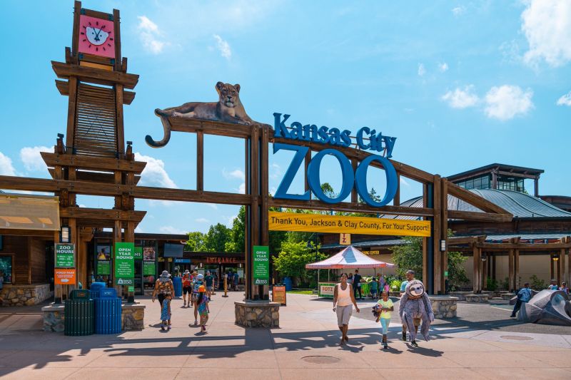 Image for the Tweet beginning: Looking for a spring break