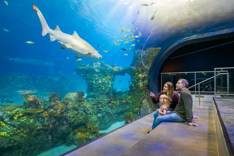 Image for the Tweet beginning: Looking for a spring break