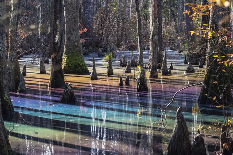 Image for the Tweet beginning: Were you #lucky enough to