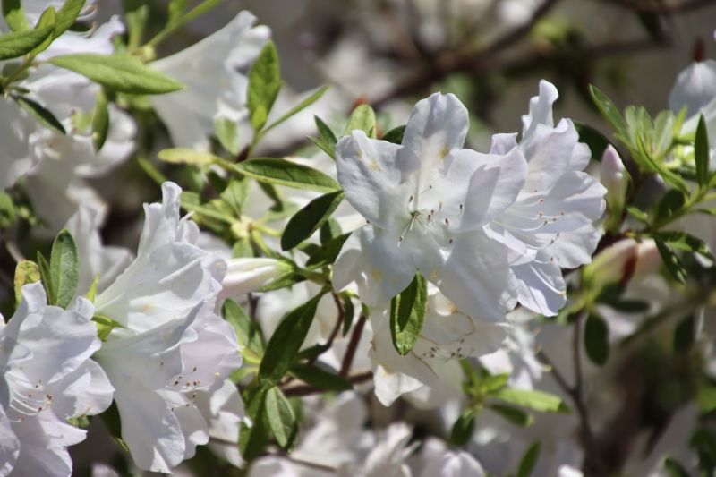 Image for the Tweet beginning: Another beautiful day in ⁦@NOLACityPark⁩