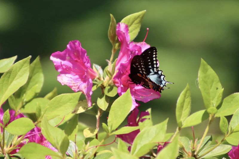 Image for the Tweet beginning: Another beautiful day in ⁦@NOLACityPark⁩