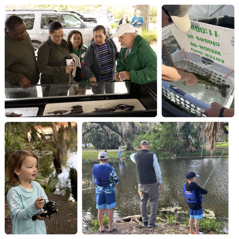 Image for the Tweet beginning: The fish were biting and