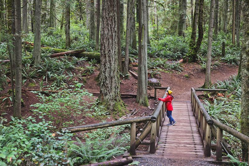 Image for the Tweet beginning: Just a ferry ride away