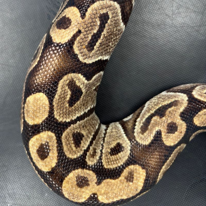 Image for the Tweet beginning: How well do you know