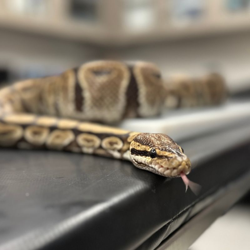 Image for the Tweet beginning: How well do you know