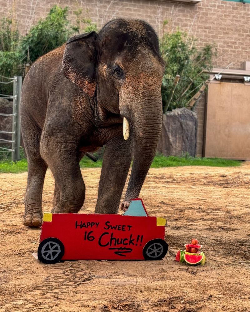 Image for the Tweet beginning: Happy 16th Birthday to the