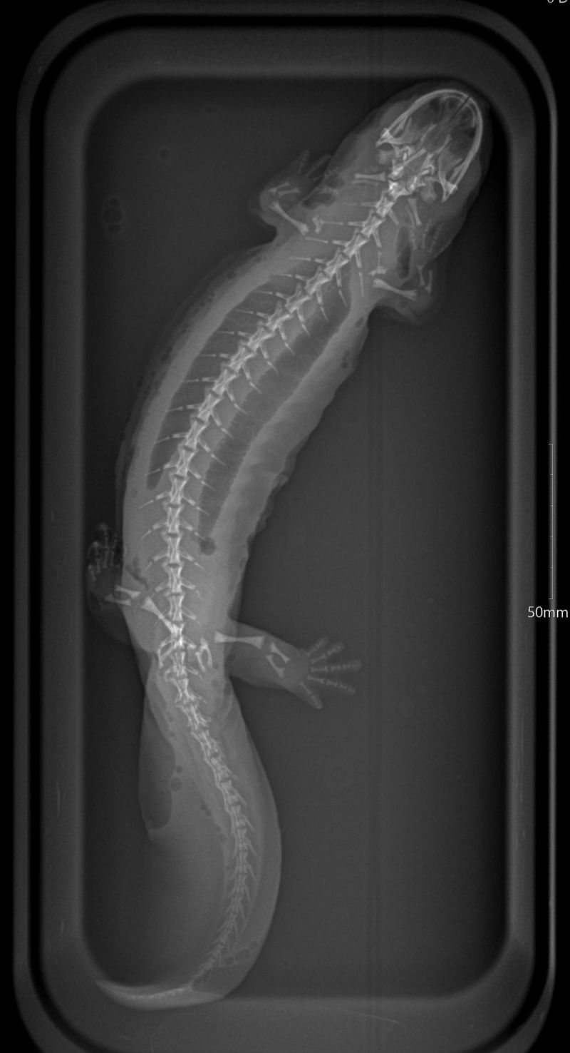 Image for the Tweet beginning: It's time for another "What