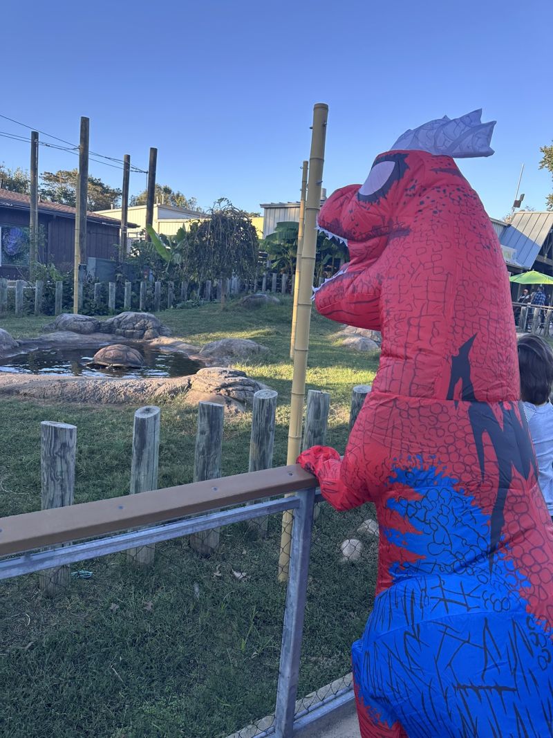 Image for the Tweet beginning: We’ve already seen some pretty