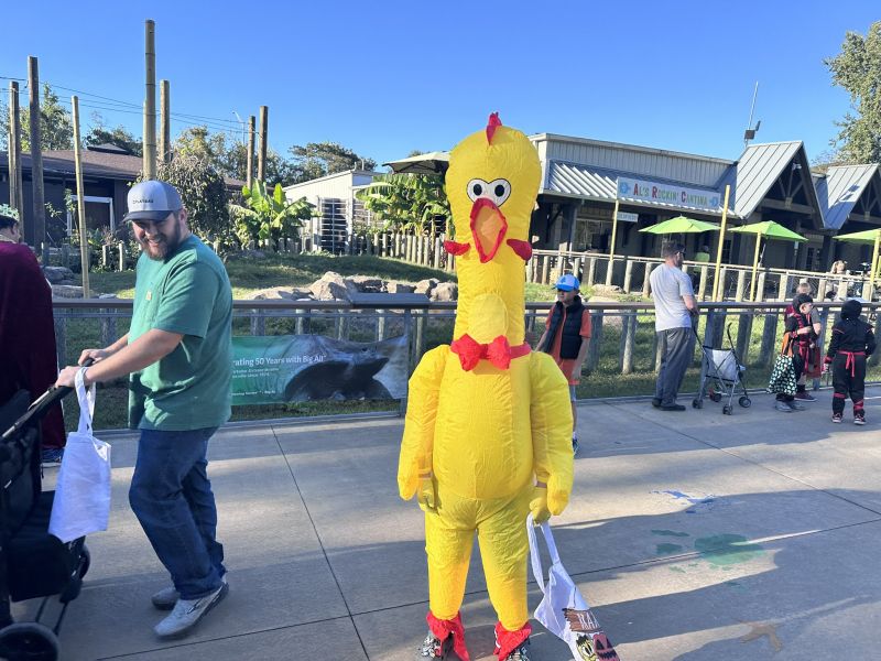 Image for the Tweet beginning: We’ve already seen some pretty