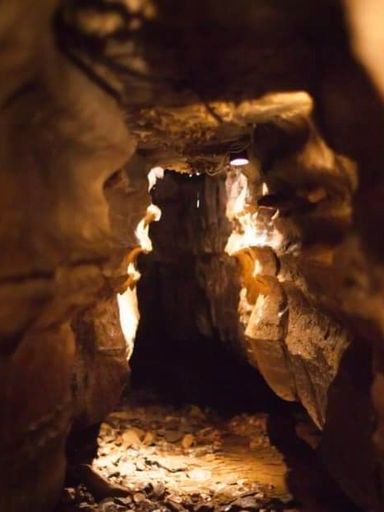 Image for the Tweet beginning: Are you brave enough to