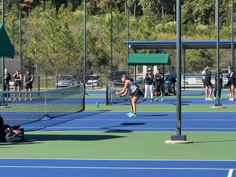 Image for the Tweet beginning: A beautiful day to watch